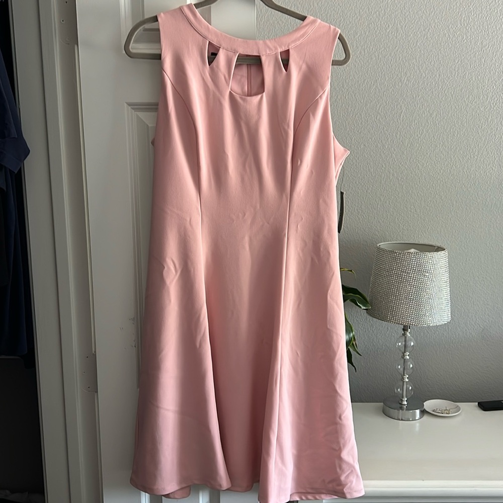 Pink Dress